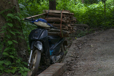 View of horse cart on dirt road