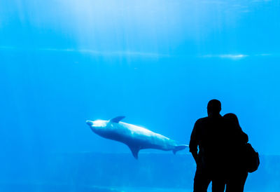 Rear view of silhouette man swimming in sea