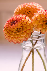 Close-up of flower vase on table