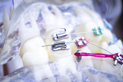 Close-up of artificial teeth