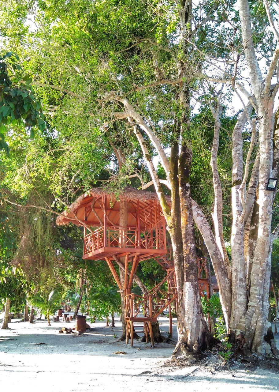 TREES BY BUILT STRUCTURE AGAINST TREE