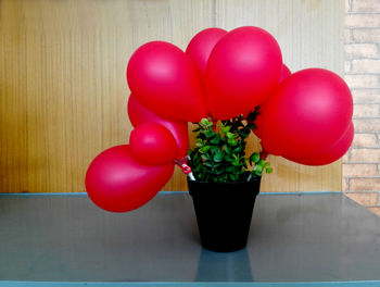 Close-up of balloons on potted plant on table