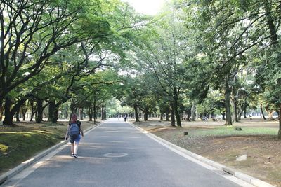 Rear view of woman standing on road along trees