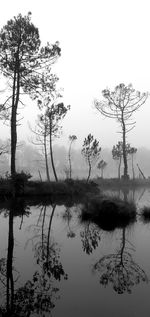 Reflection of trees in lake against sky