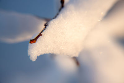 Close-up of ice crystals