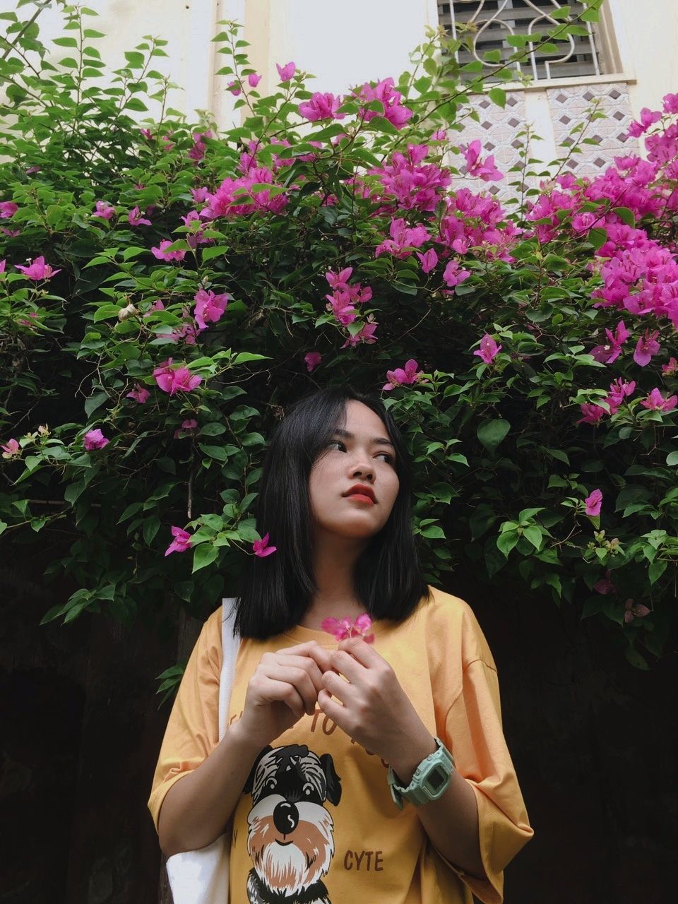 flower, flowering plant, plant, one person, leisure activity, real people, lifestyles, front view, waist up, holding, freshness, fragility, young adult, pink color, casual clothing, young women, women, vulnerability, hair, hairstyle, beautiful woman, flower head, outdoors, teenager