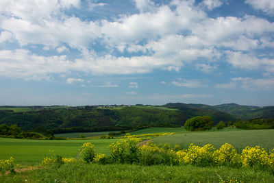 Scenic view of field against cloudy sky