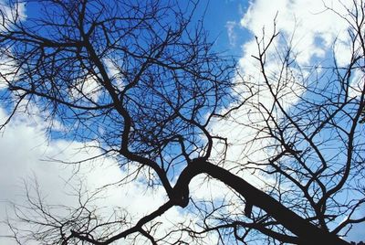 Low angle view of bare tree against blue sky