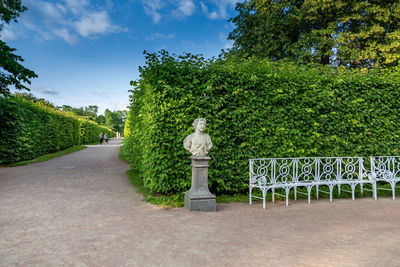 The view of the catherine park in tsarskoye selo