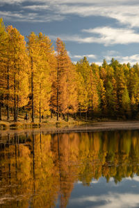 Scenic view of lake by trees during autumn