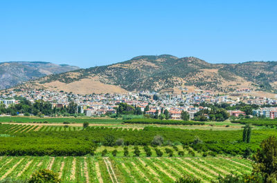 Scenic view of rural landscape