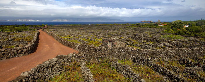 Scenic view of landscape against cloudy sky