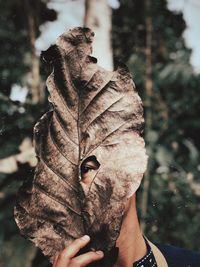 Portrait of young man looking through hole in dry leaf