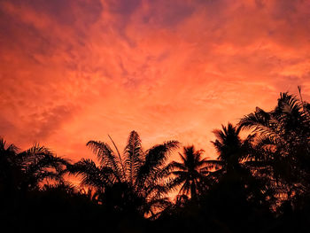 Silhouette trees against dramatic sky during sunset