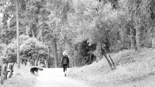 Rear view of woman walking with dog in forest