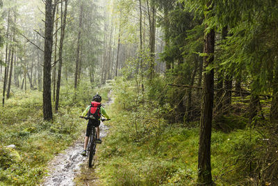 Boy cycling in forest