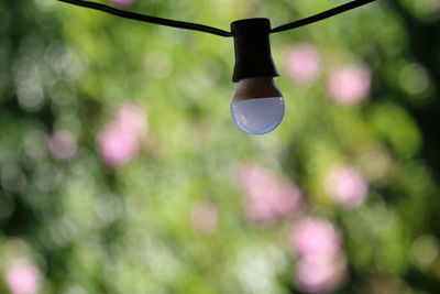 Low angle view of light bulb