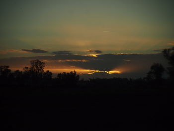 Silhouette of trees at sunset