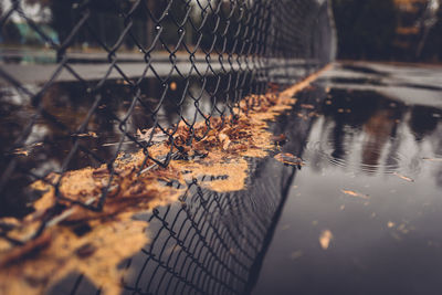 Close-up of chainlink fence