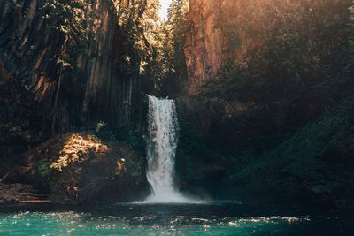 View of waterfall in forest