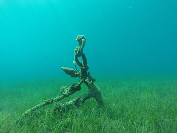 High angle view of man swimming in sea