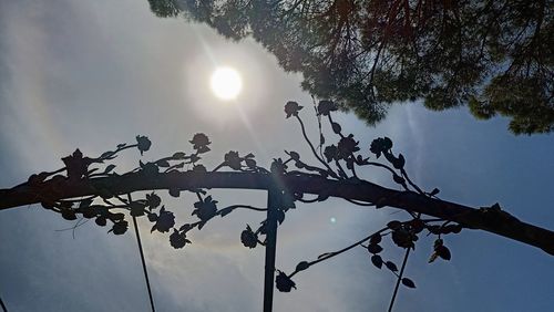 Low angle view of silhouette tree against sky