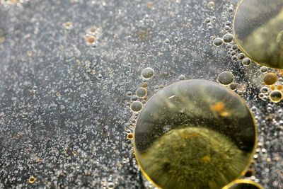 Full frame shot of water drops on sea shore