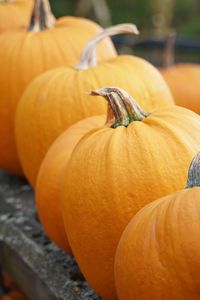 Close-up of pumpkin for sale at market