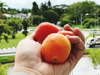 Close-up of person holding apple