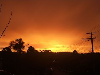 Silhouette trees and electricity pylon against sky during sunset