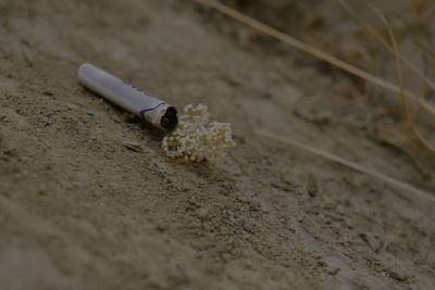 High angle view of cigarette on sand