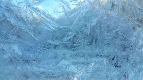 Close-up of snowflakes on glass window