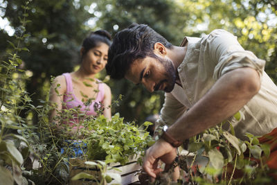 People working in community garden planting herbs at neighbourhood project