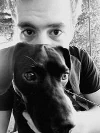 Portrait of a dog
