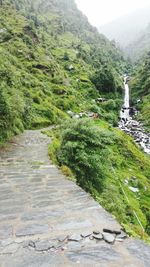 Scenic view of green landscape