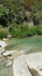 Scenic view of landscape