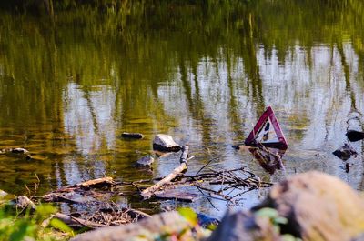 Ducks swimming in lake