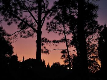 Silhouette trees against sky during sunset