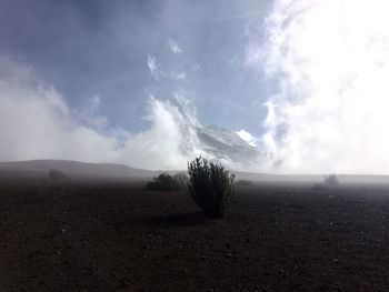 Scenic view of landscape against sky