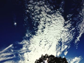 Low angle view of trees against sky