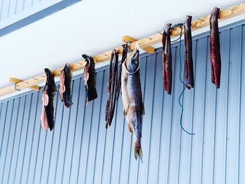 Clothes drying on clothesline against wall