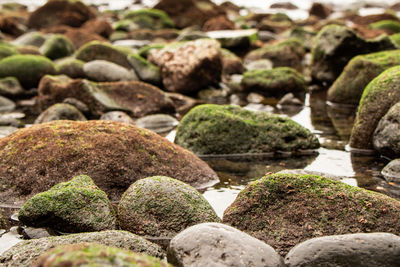 Close-up of stones