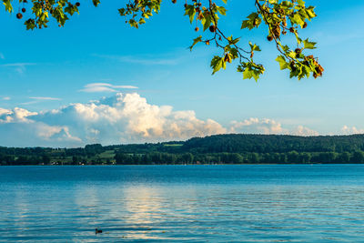 Scenic view of lake against blue sky