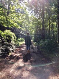 Rear view of dog walking in forest