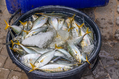 High angle view of fish in market