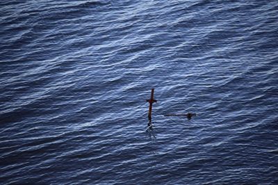 High angle view of boat in water