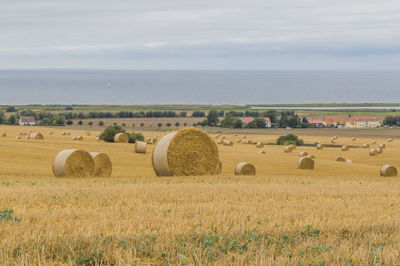 Hay bales on field against sky