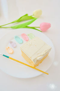 High angle view of cake in plate on table