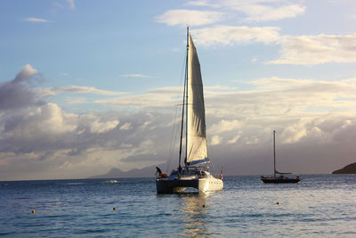 Sailboat sailing on sea against sky