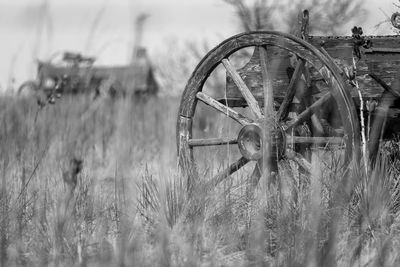 Old wagon parked next to a tree on the prairie with another wagon in the background